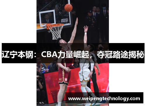 辽宁本钢:CBA力量崛起,夺冠路途揭秘